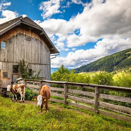 Binderhof Apartmán *