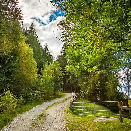 Binderhof Апартаменты Weisspriach