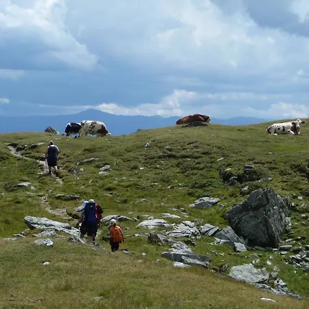 Διαμέρισμα Binderhof Weisspriach