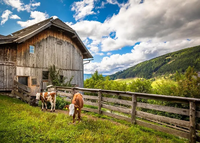 Binderhof Apartmán *